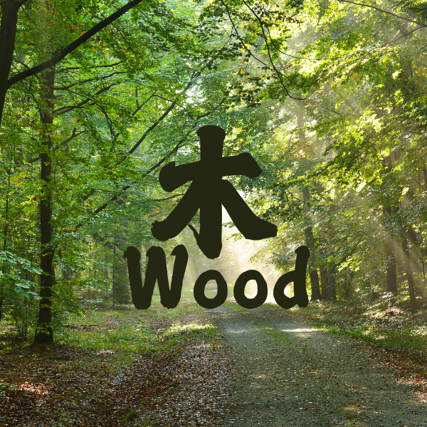 Wood｜Invite renewal and vitality